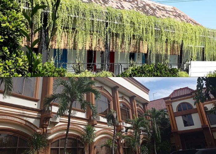 RAHASIA HOTEL BUDGET TERBAIK! 8 Hotel Murah di Lamongan Mulai Rp 25.000/Malam, Backpacker Wajib Tahu Ini