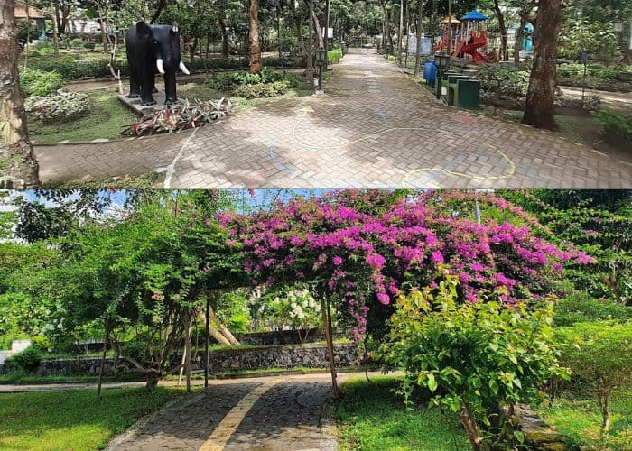 4 Spot Jogging Super Asri di Jogja: Nikmati Alam Sembari Menjaga Kesehatan!