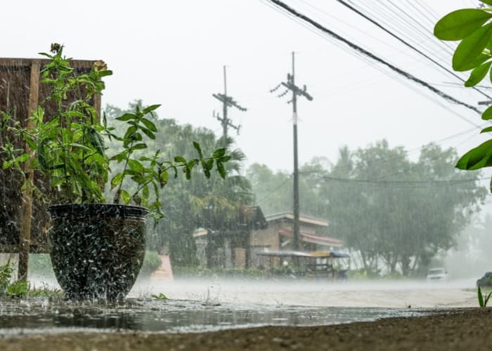 BMKG UPDATE! Prospek Cuaca di Indonesia Seminggu Kedepan, 25 Februari hingga 3 Maret 2025: Cek Wilayah Terdampak