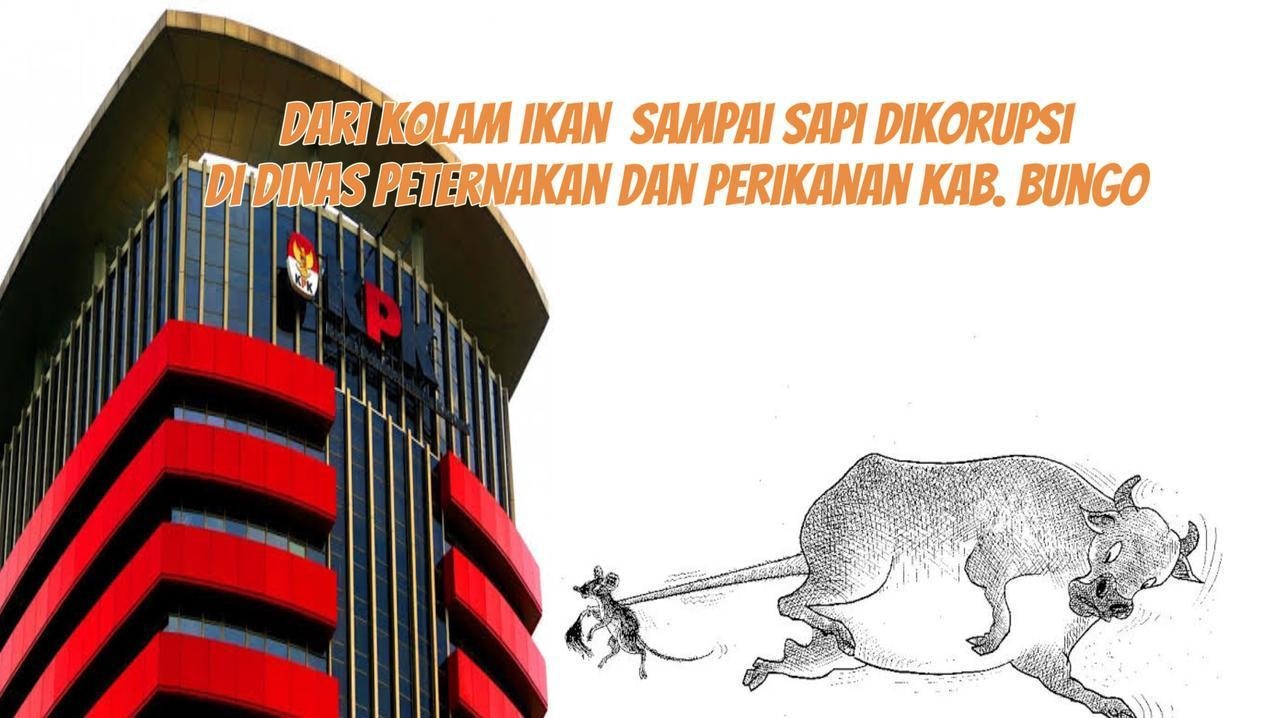 Skandal Miliaran! Dinas Peternakan Bungo Diduga Korupsi, Ternak dan Proyek Jadi Sapi Perah?