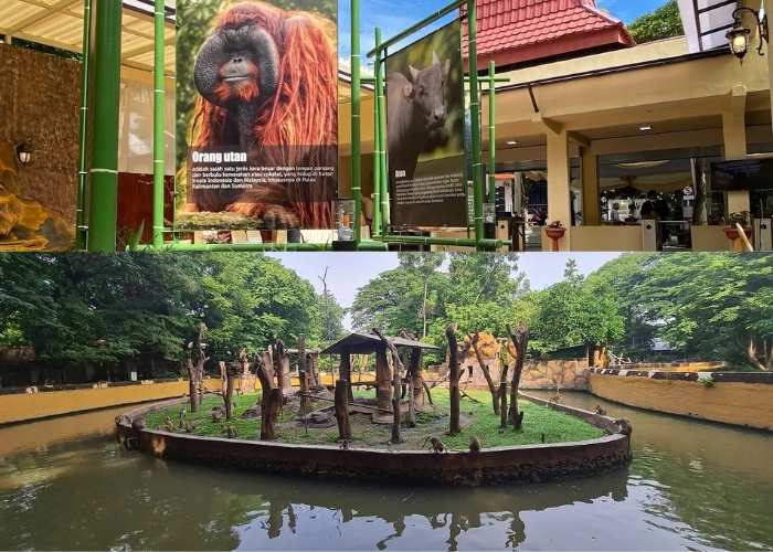 Dishub Surabaya Siapkan Strategi Antisipasi Lonjakan Pengunjung di KBS Saat Libur Lebaran 2025: Penambahan Shuttle Bus serta Kapasitas Parkir