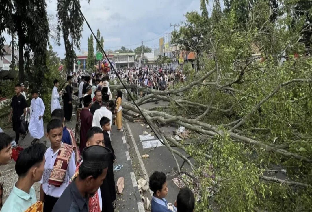 Pohon Tumbang Saat Shalat Id di Pemalang, Dua Jemaah Meninggal, Belasan Lainnya Luka-luka