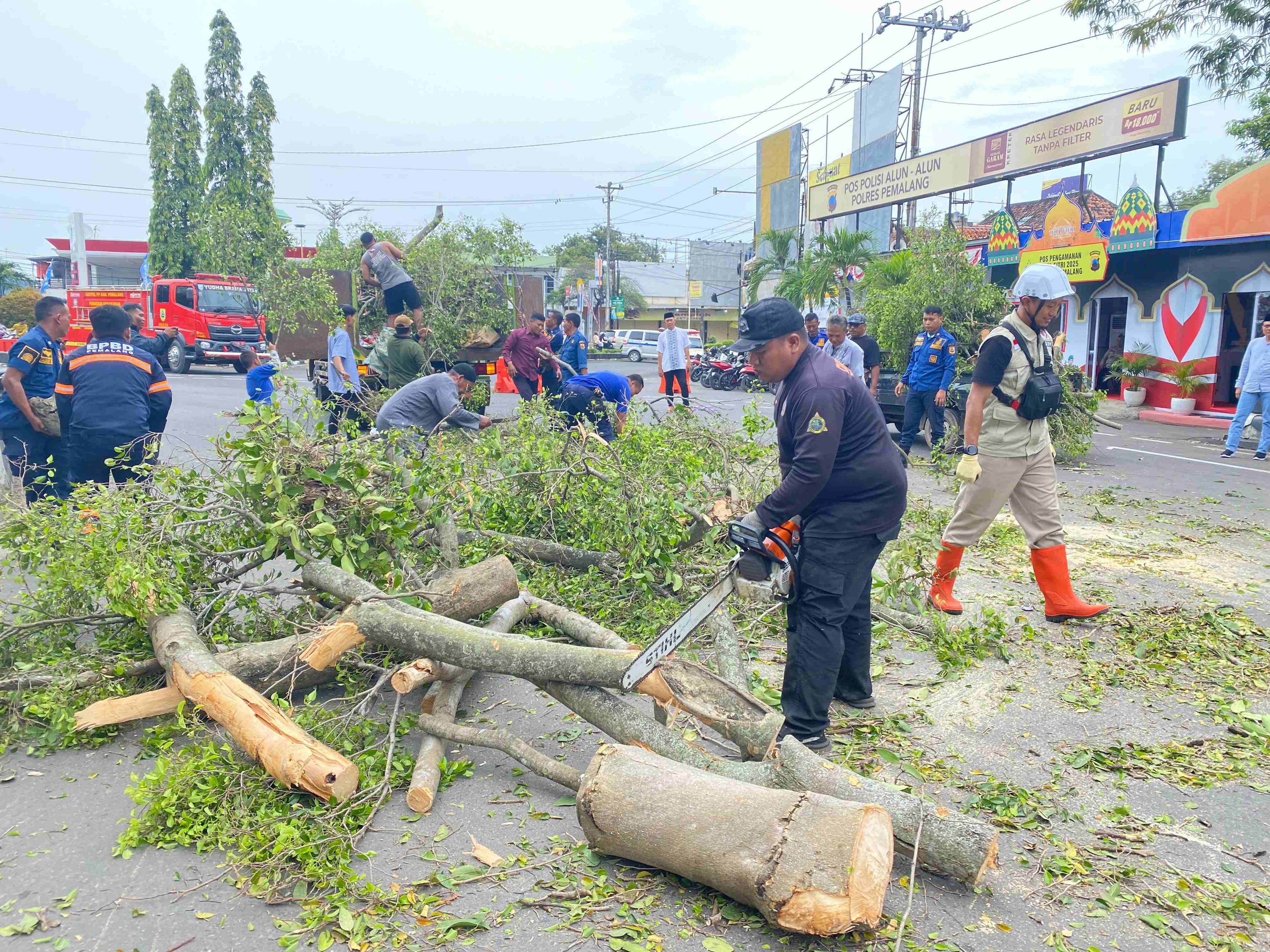 Tragedi Alun-Alun Pemalang: Pohon Tua Runtuh Saat Sholat Id, Ini Kronologinya