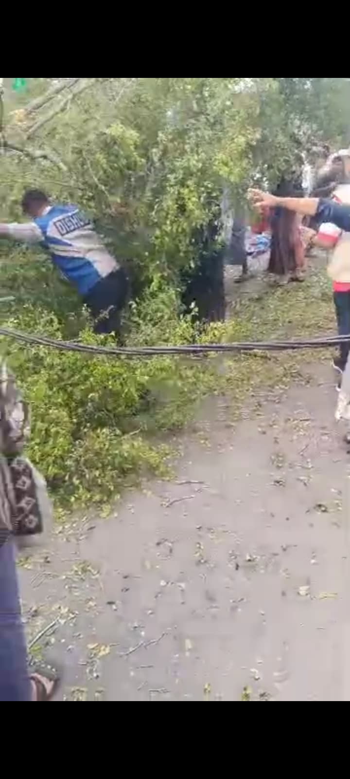 Kapolres Pemalang Laporkan Identitas Korban Pohon Tumbang Saat Sholat Idul Fitri di Alun-Alun Pemalang