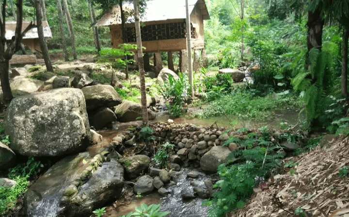 Liburan di Jateng Aja: Ini 5 Objek Wisata Alam yang Ada di Kabupaten Banyumas, Banyak Curug yang Masih Alami