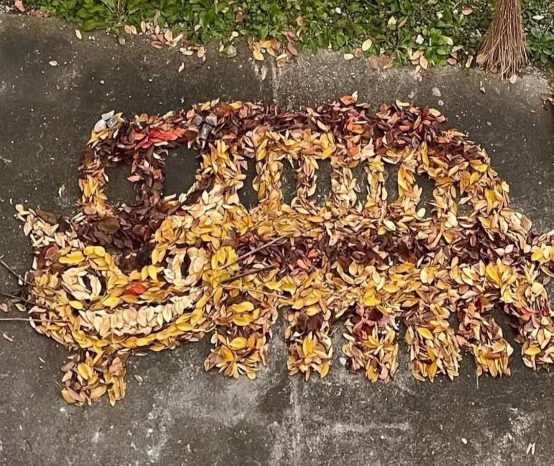 Hebat, Guru Seni di Jepang Sulap Daun Kering jadi Karya Seni Karakter Anime