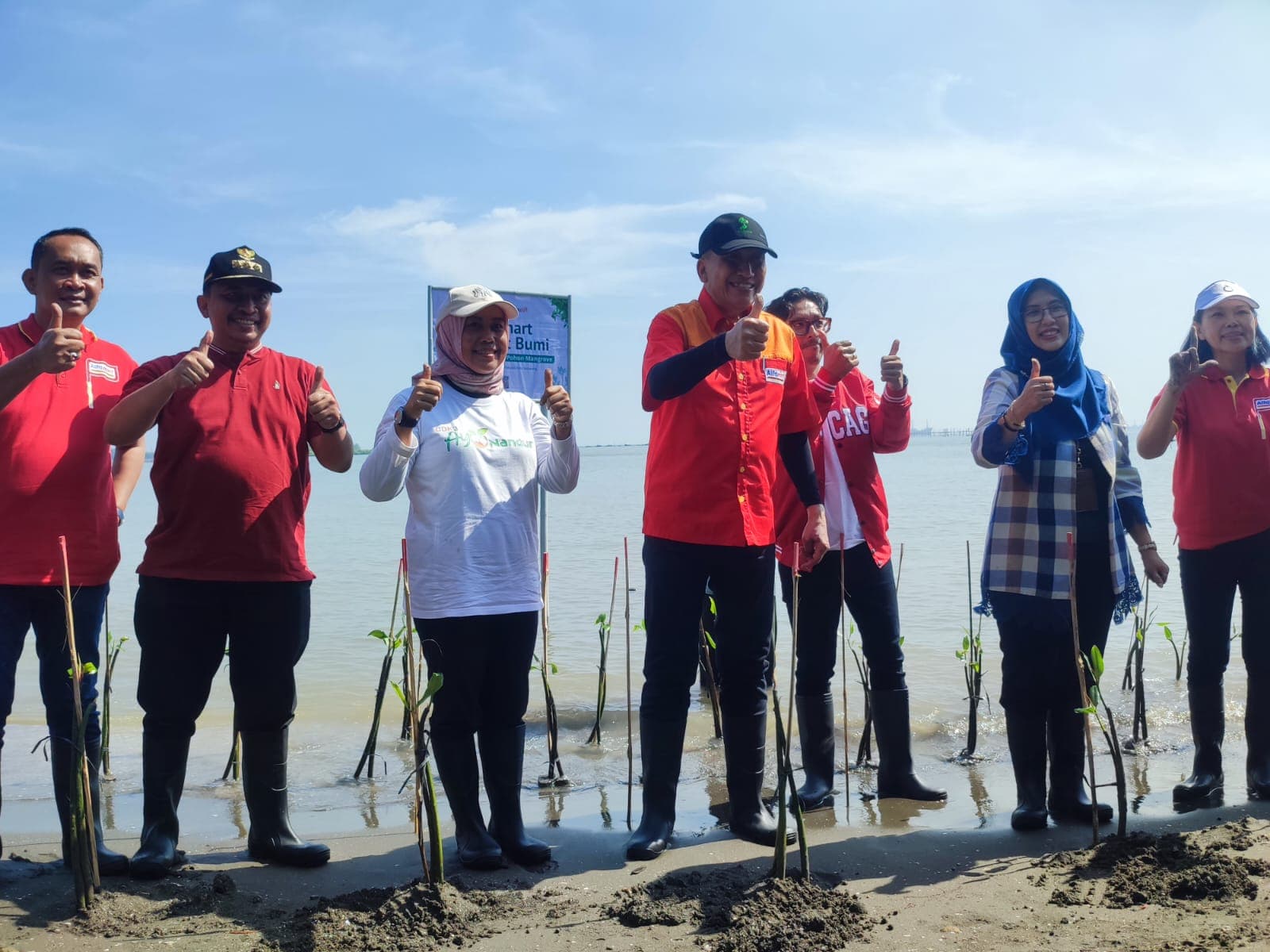 Lestarikan Pantai, Alfamart Gandeng Pemkot Semarang Tanam 20.000 Mangrove di Pantai Mangunharjo