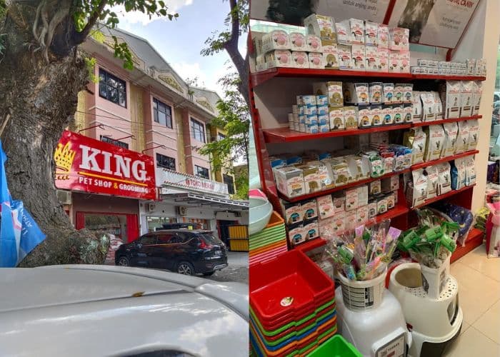 7 Jasa Grooming Hewan Peliharaan Panggilan di Solo Ini Bikin Anabulmu Auto Kinclong dan Happy: Ada yang Bisa Dipanggil ke Rumah