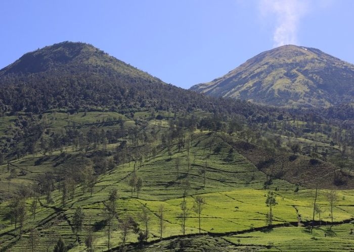 RAHASIA TERKUAK! Pendaki Pemula Wajib Tahu, Ini Dia 2 Jalur Pendakian Gunung Kembang Wonosobo yang Bikin Ketagihan, Bonus Pemandangan yang Indah