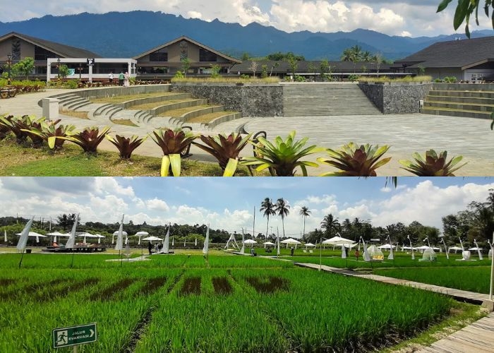 Bukan Hanya Candi, Ini Ada 5 Tempat Wisata Hidden Gems di Borobudur yang Bikin Liburanmu Makin Berwarna!