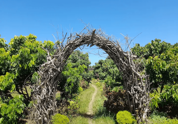 Yuk Mampir! Ada 3 Rekomendasi Tempat Wisata Bagus di Daerah Mirit Kabupaten Kebumen