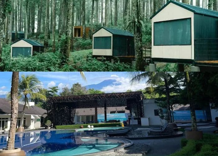 Bangun Tidur Langsung Healing? Ini 4 Tempat Penginapan Strategis di Purwokerto! Lokasi Dekat dengan Tempat Wisata Favorit