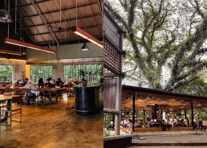 Bikin Penasaran! Ini Dia 3 Kafe Sekitar UGM Paling Favorit Mahasiswa, Ada yang Cocok Buat Healing dari Tugas Kuliah Sampai di Tengah Rimbunnya Hutan!