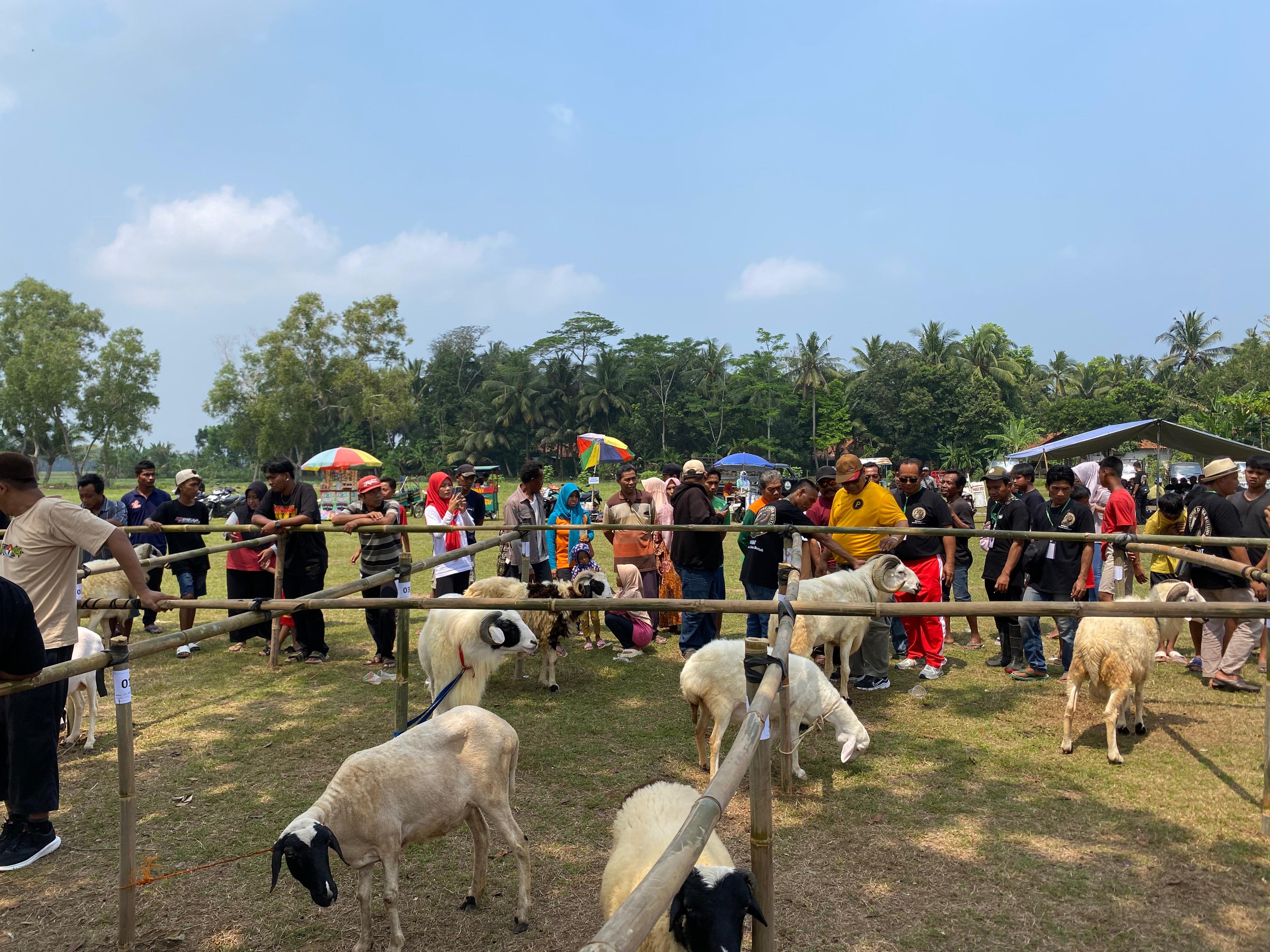 Pameran Domba di Butuh Jadi Tonggak Awal Kesiapan Jadi Sentra Domba untuk Purworejo