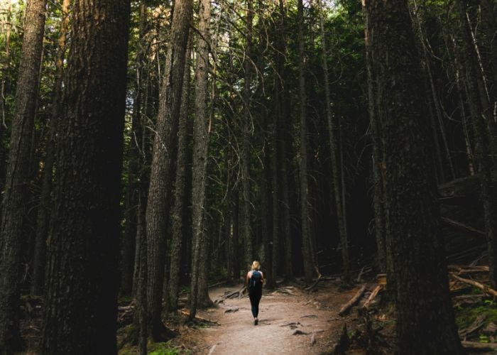 Ngeri! Jangan Sampai Panik di Tengah Hutan, Ini Dia Tips Ampuh Anti Nyasar Buat Para Pendaki!