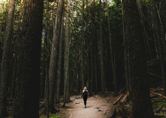 Ngeri! Jangan Sampai Panik di Tengah Hutan, Ini Dia Tips Ampuh Anti Nyasar Buat Para Pendaki!