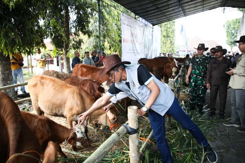 Peternakan Jadi Penopang Pangan Nasional, Kementan dan Pemprov Jateng Tekankan Quality Control dari Hulu ke Hilir
