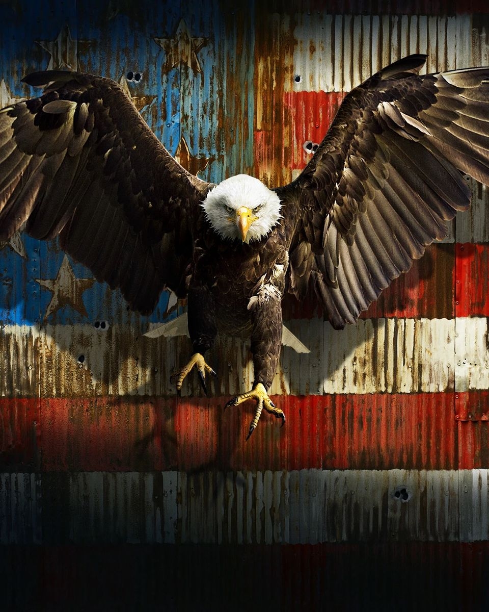 Bongkar Anatomi Prime Eagle Peacemaker: Eagly, Bukan Elang Biasa! Rahasia Kekuatan Kosmik, Kecerdasan Tinggi, dan Kemampuan Mengomando Pasukan Elang