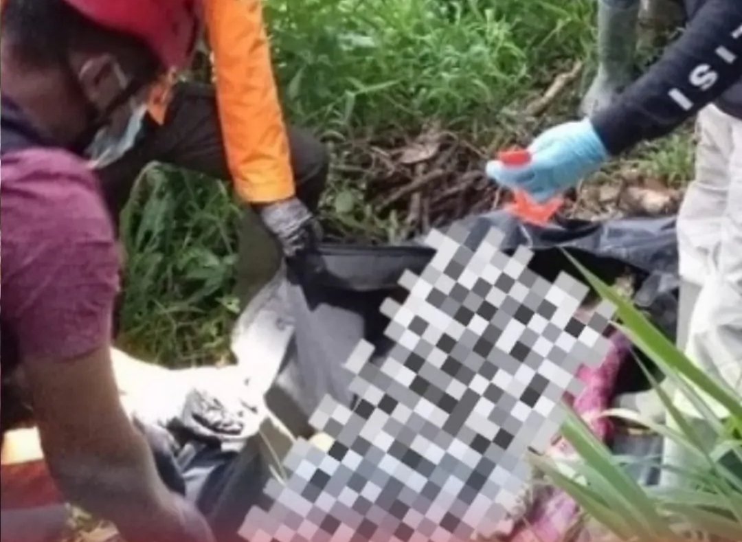Hilang Dua Pekan, Pria Paruh Baya Ditemukan MD di Kebun Jahe Kaliwiro Wonosobo