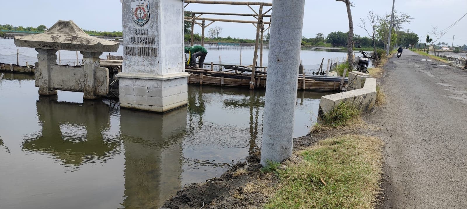 Makin Bikin Khawatir, 80 Hektar Tambak di Kendal Terendam Rob, Terparah di Kartikajaya dan Wonosari