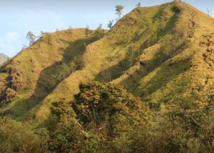 Malang Punya Secret Spot Baru! Bukit Lincing: Mini Trekking dengan View Sunrise Selevel Negeri Dongeng