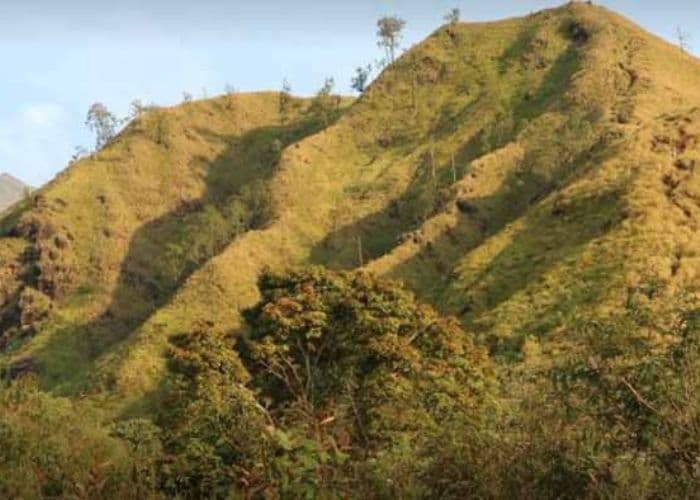 Malang Punya Secret Spot Baru! Bukit Lincing: Mini Trekking dengan View Sunrise Selevel Negeri Dongeng