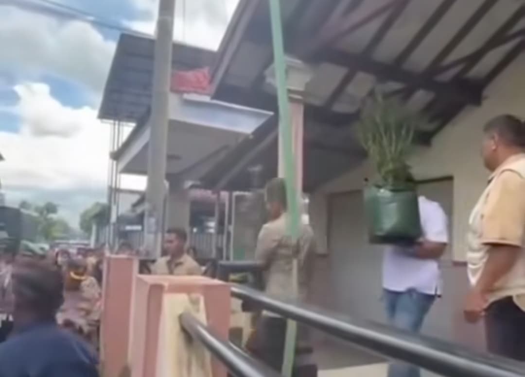 Terbongkar Kebun Ganja di Rumah Kontrakan Mojongapit Jombang, Polisi Sita Ratusan Tanaman Ganja