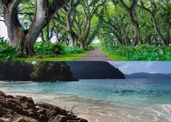 The Sunrise of Java Memanggil! 5 Spot Banyuwangi Paling Epic untuk Liburan Akhir Tahun 2025 (Part 1)