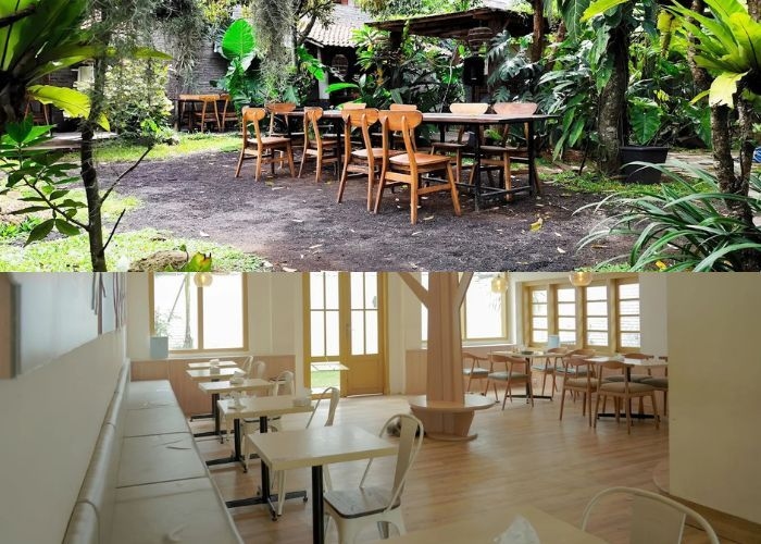 Nongkrong Bareng Anabul? Ini 3 Rekomendasi Cafe Pet Friendly Paling Hits di Malang yang Wajib Kamu Kunjungi!