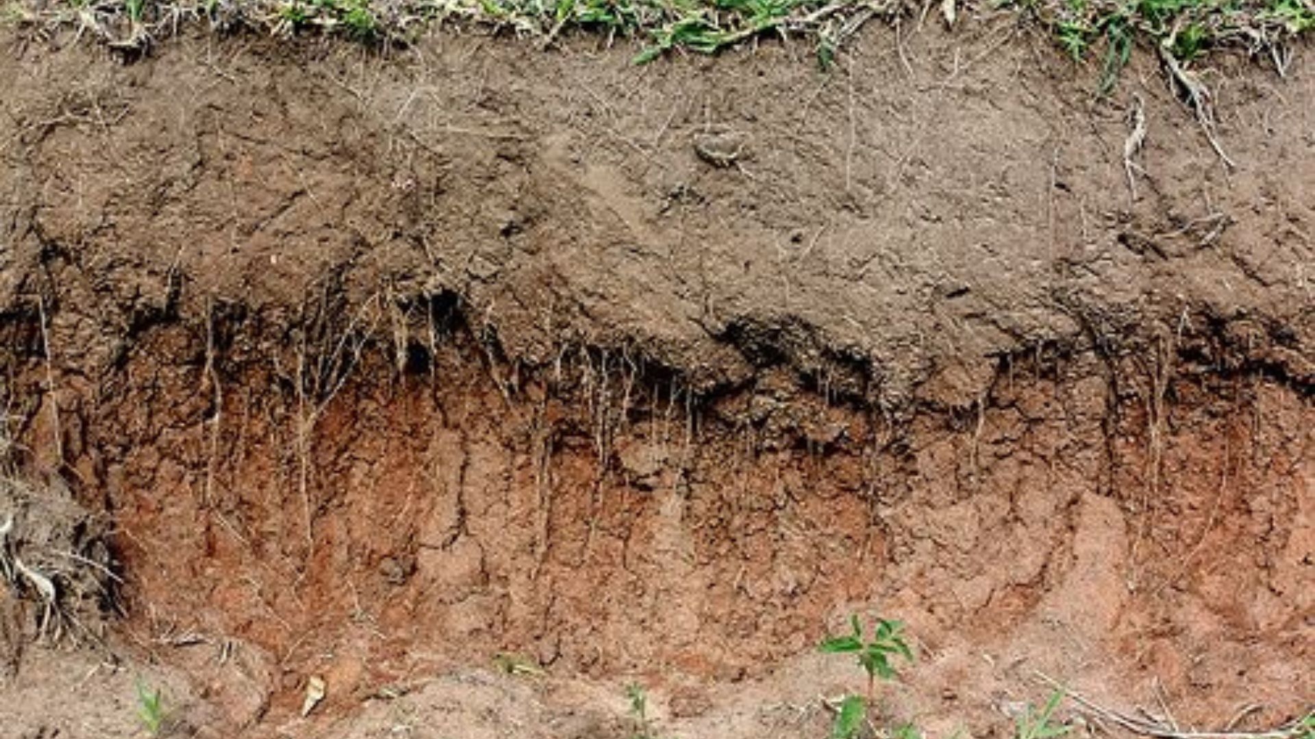 Jangan Tunggu Roboh! Kenali Tanda Awal Tanah Bergerak di Lereng Perbukitan Sebelum Terlambat