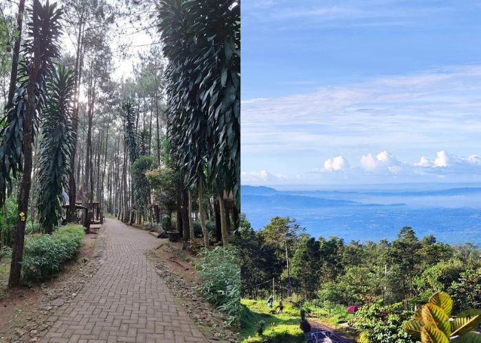 Sisa Liburan Tahun Baru 2026? Intip 5 Spot Camping Syahdu di Jogja untuk Healing dari Keramaian!