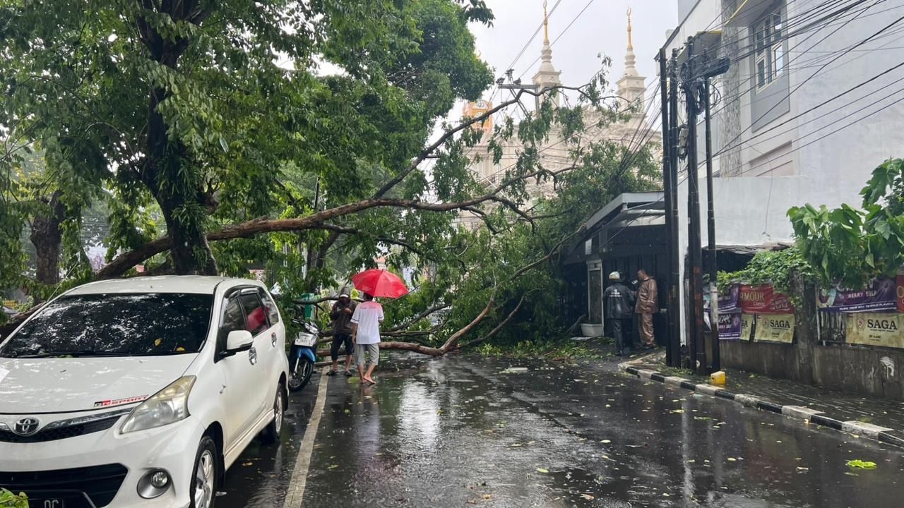 UPDATE! Semarang Dikepung 84 Tragedi Kerusakan Akibat Angin Kencang, Termasuk Bencana Tanah Longsor